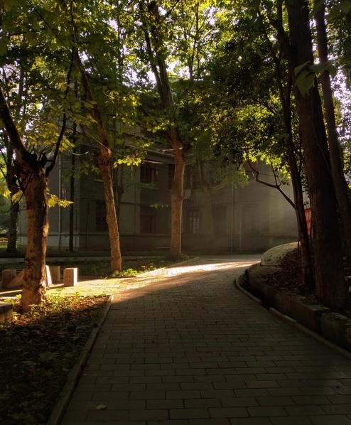 Humanities Building in the Morning Sun